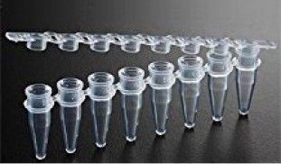 EX-P-01X8-F 0.1ml PCR 8-Strip Tubes with Flat cap (Case), Clear