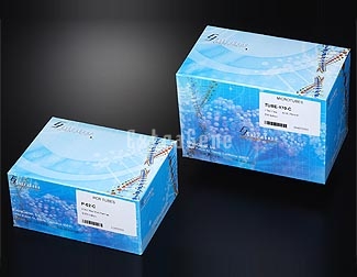 EX-P-02-A  0.2ml PCR Tubes with Flat Caps (Case), Amber