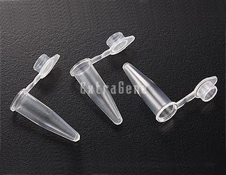 EX-P-02-C 0.2 ml PCR Tube with Flat Caps (Case), Clear