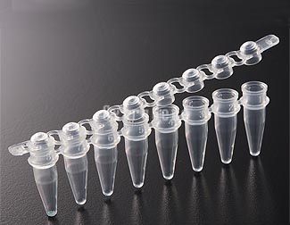 EX-P-02X8-C 0.2 ml PCR 8-Strip Tubes with Domed Cap (Case), Clear