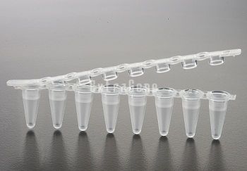 EX-P-02X8-F 0.2ml PCR 8-Strip Tubes with Flat Cap (Case), Clear