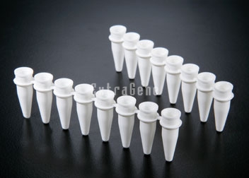 EX-P-02X8-W  0.2ml PCR 8-Strip Tubes with Flat Cap (Case), White tube Clear cap