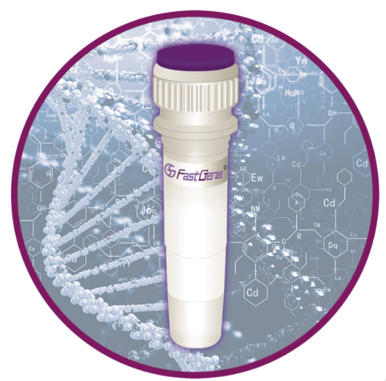 NP-LS64s FastGene® Scriptase II cDNA 5x ReadyMix (10 rxns)