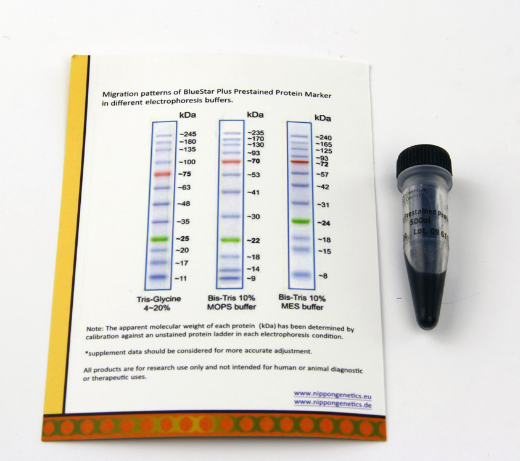 MWP04  BlueStar Plus Prestained Protein Marker (500 µl)