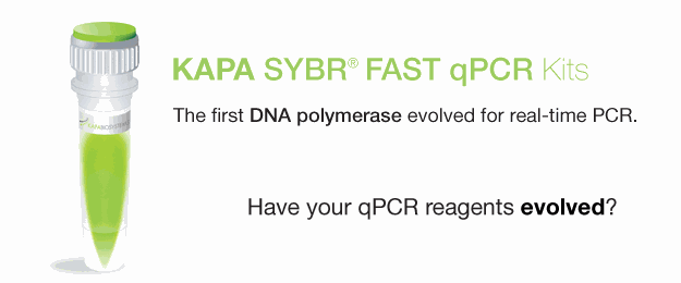 SG-KK4600 KAPA SYBR® FAST qPCR Master Mix (2X) Universal (1 ml; 100 x 20 µl reactions)