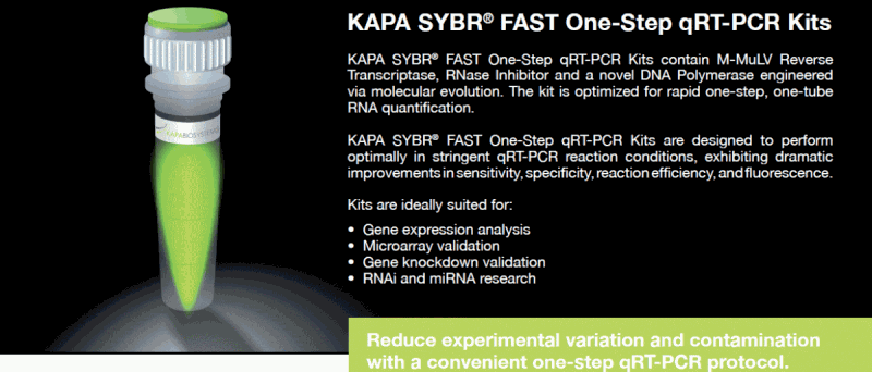 SG-KK4650 KAPA SYBR® FAST One-Step qRT-PCR Master Mix (2X) Universal (100 x 20 µL reactions)