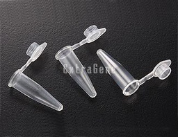 [EX-P-02-C (pack)] EX-P-02-C 0.2ml PCR Tube with Flat Caps (Pack), Clear