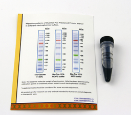 [NP-MWP04] MWP04  BlueStar Plus Prestained Protein Marker (500 µl)