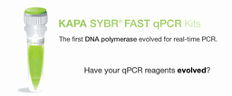 [SG-KK4600] SG-KK4600 KAPA SYBR® FAST qPCR Master Mix (2X) Universal (1 ml; 100 x 20 µl reactions)